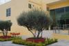 Amazing Celaya Hotel & Suites Business Class