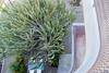 Apartamento The Golden Bee
