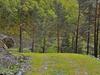 Holiday Home Vormestrandvegen