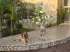 Apartamento Annsrental