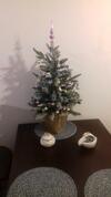 Karmazynowy Apartament Nad Morzem