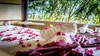 Hotel Vila Gal� Eco Resort Do Cabo