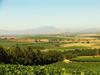 Agroturismo Laibach Vineyards