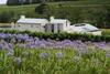 Agroturismo Laibach Vineyards