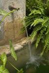 Bed & Breakfast Carmen Del Cobertizo