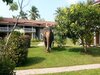 Hotel Bougainvilla