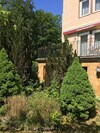 Hostal Hotel Elisabetha Garni