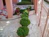 Apartamento Hotel Alexis