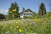 Hostal Pension Fohrenberg